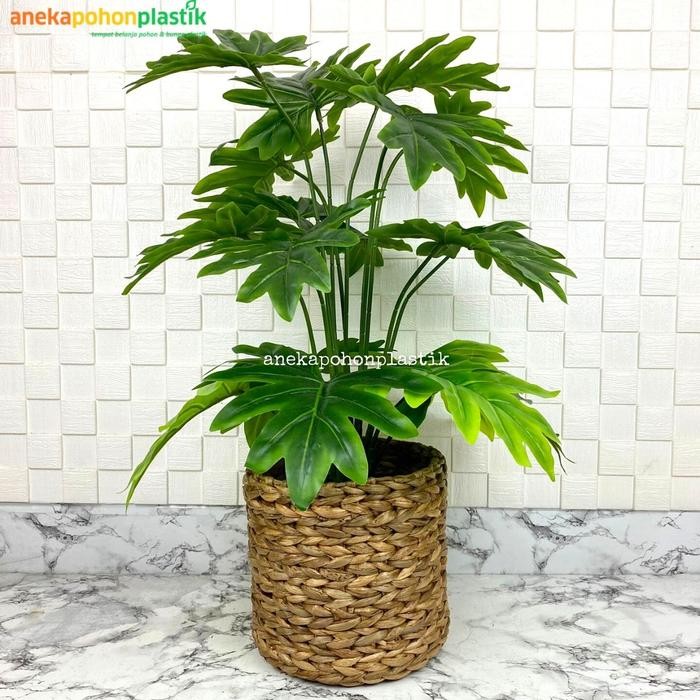 PREMIUM Pohon Daun Monstera Jari Philo Semi Latex Cover Anyaman Eceng Gondok