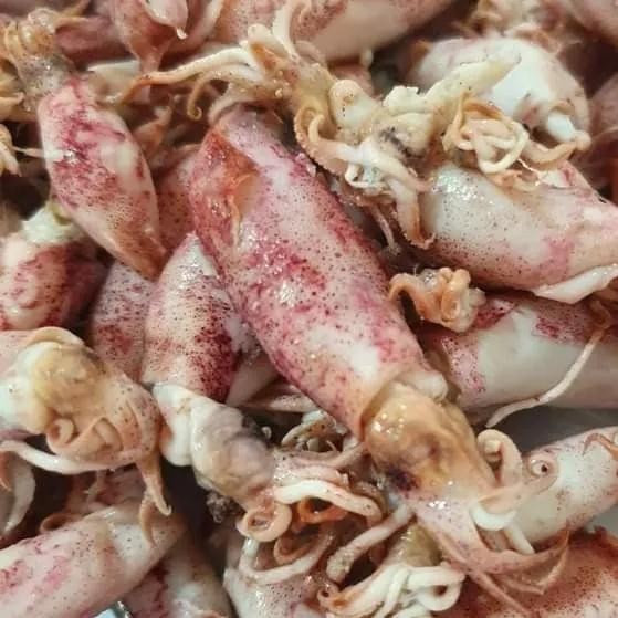 

3YC3 Cumi Asin Telur Berkualitas 250Gr