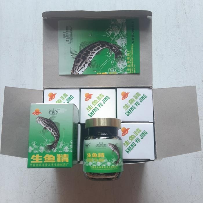 

3YC3 Sheng Yu Jing Essence Of Fish / Saripati Ikan Gabus