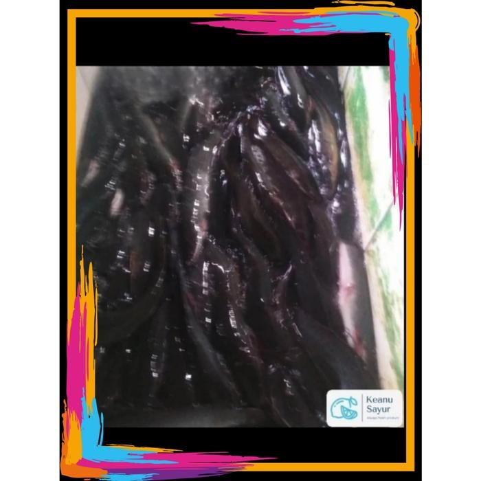 

3YC3 Ikan Lele (1 Kg)