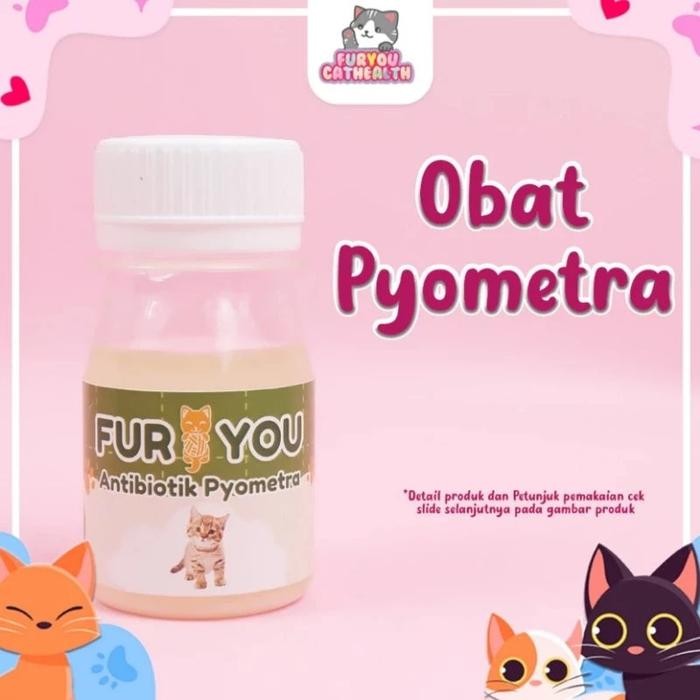 PROMO Kapsul Antibiotik Pyometra Kucing