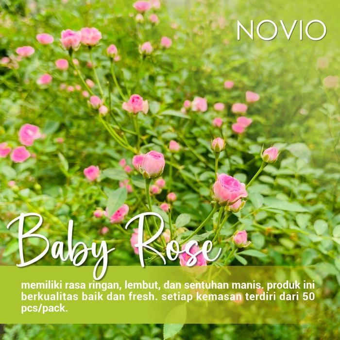 

Edible Flower Baby Rose Fresh