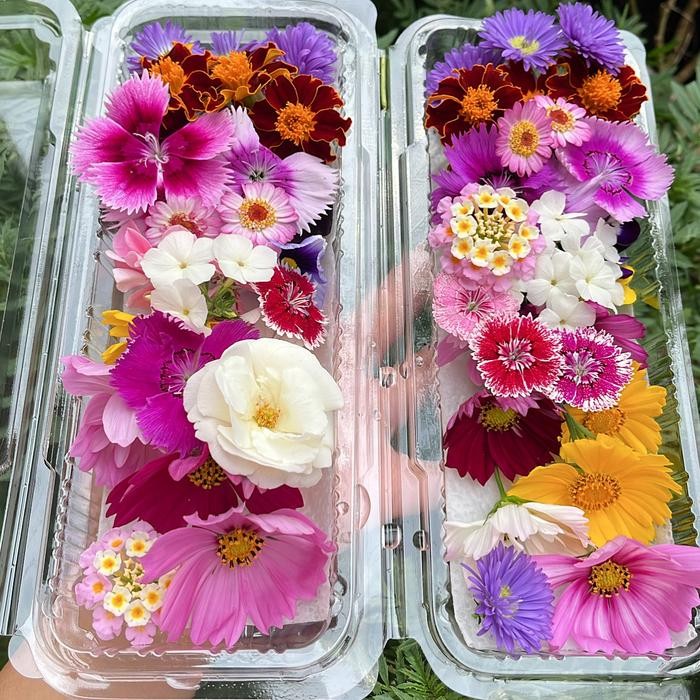 

Edible flower mixed