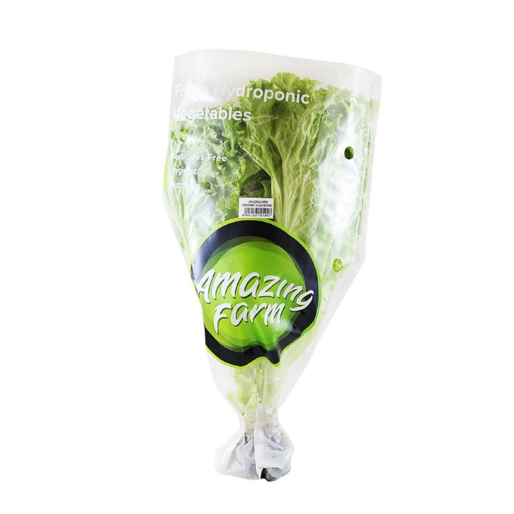 

Amazing Farm Selada Keriting Hidroponik Hidroponik 250 gram