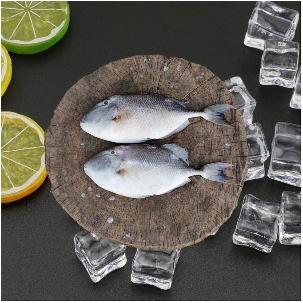 

Ikan Ayam Ayam 500 gram