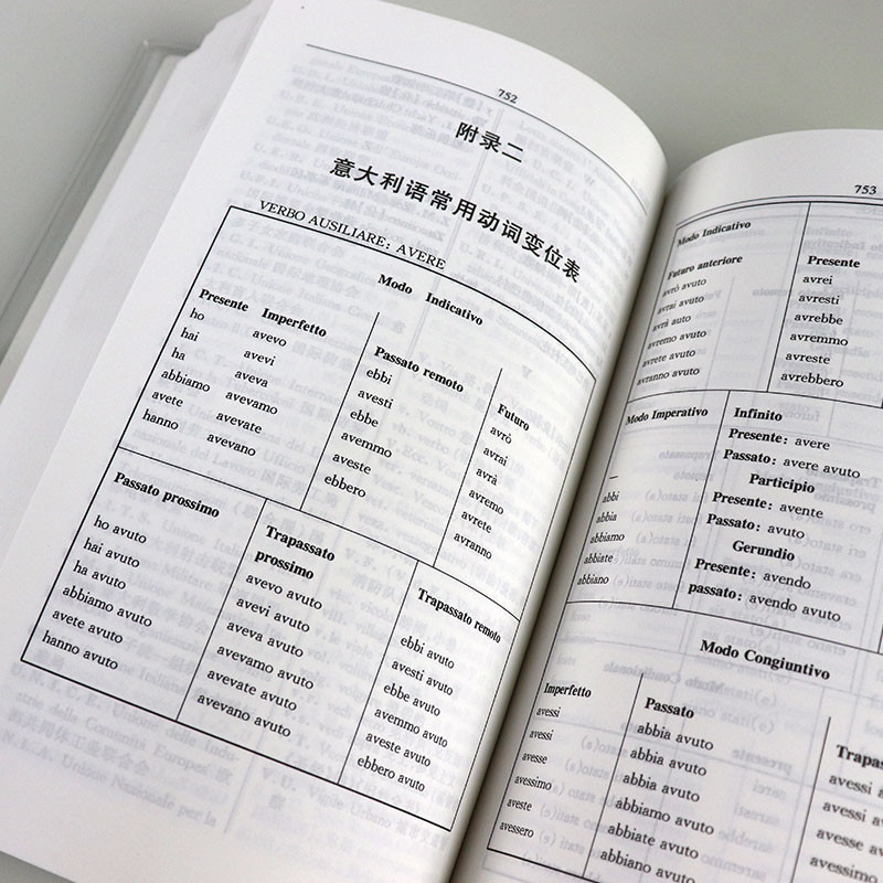 Modernissimo Dizionario Italiano Chinese Dictionary for Learning Italian Language Chinese Dictionary
