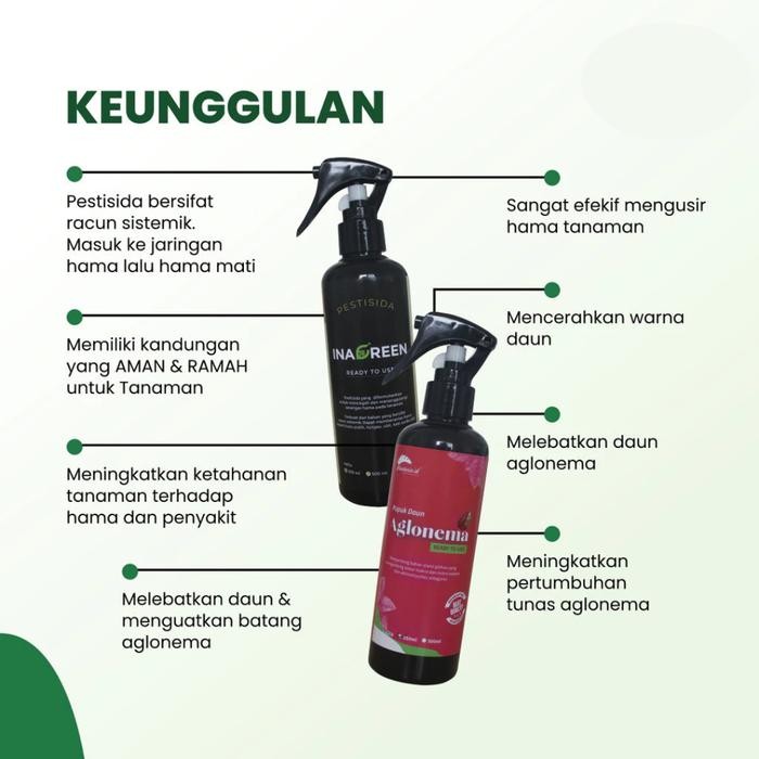 BUNDLING HEMAT PUPUK AGLONEMA 250ML+PESTISIDA 250ML BERKUALITAS DAUN TANAMAN