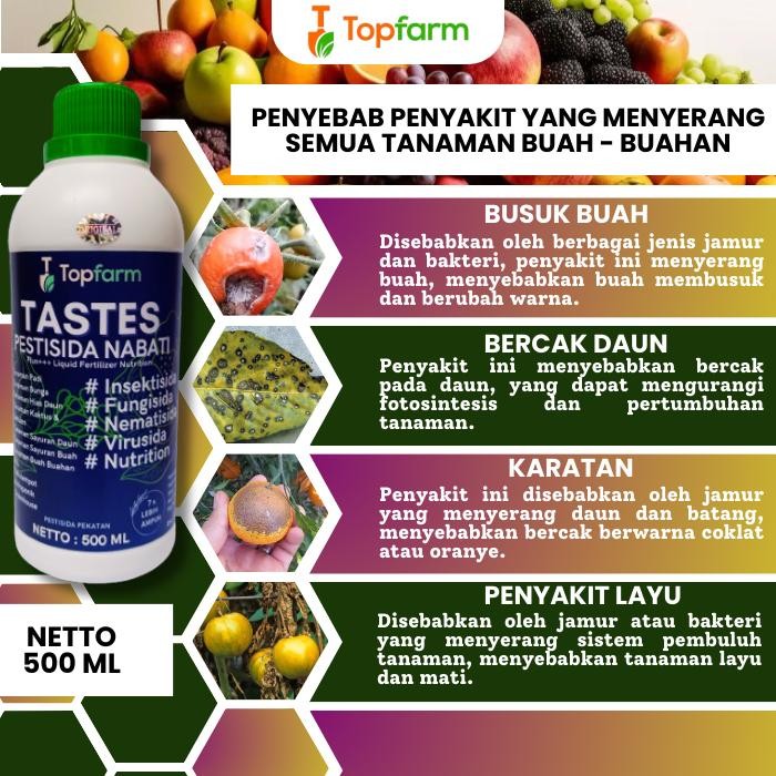 Pestisida Tastes - Obat Semprot Hama Tanaman Buah Buahan / Obat Anti Busuk Buah 1 Liter (TERBAIK)
