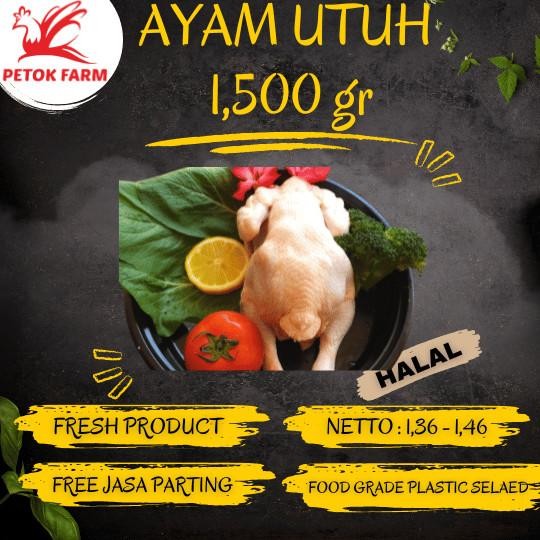 (Allthebest) Ayam Karkas / Ayam Potong / Ayam Broiler Ukuran 1.500 gr