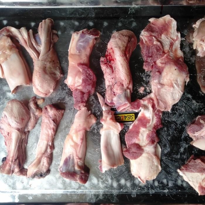 

(Allthebest) Urat kisi / Otot kisi