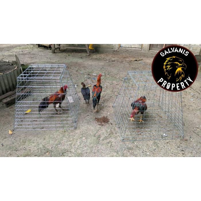 Kurungan Besi / Kurungan Ayam Bangkok Jago Kate Aduan Galvanis Awet -Gratisongkir