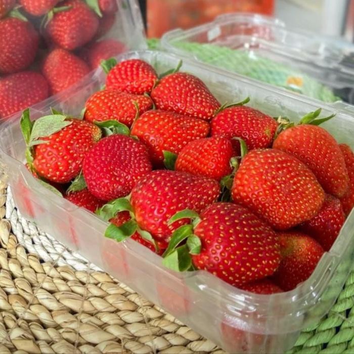 

SIAPKIRIM STRAWBERRY spesial pack strawberry Bandung READY STOCK