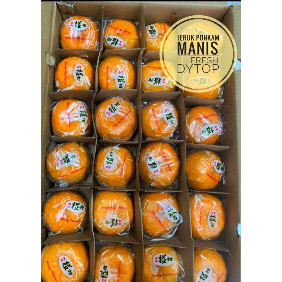 

TERMURAH Buah Jeruk Ponkam Premium Import Manis Fresh READY STOCK