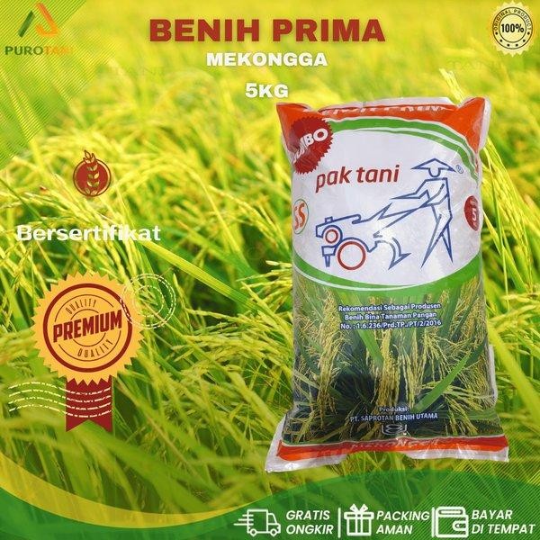 Benih Padi Mekongga Pak Tani 5kg SS Prima Bibit Padi Mikongga
