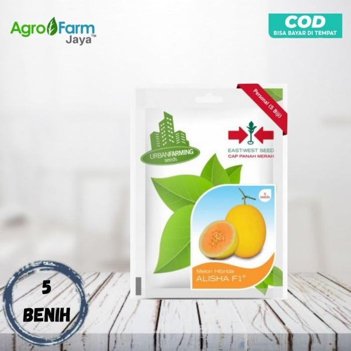 Benih-Bibit Melon Golden Alisha F1 ( Cap Panah Merah)