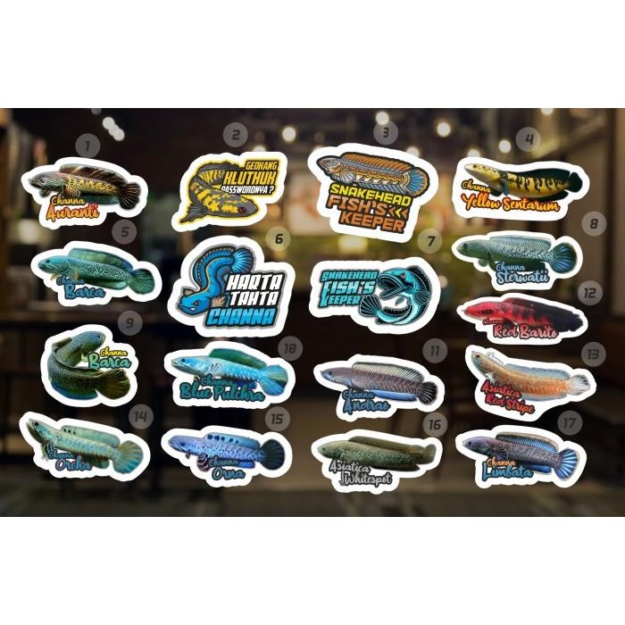 (Allthebest) Sticker Stiker Aquarium Channa Snakehead (Terlengkap)
