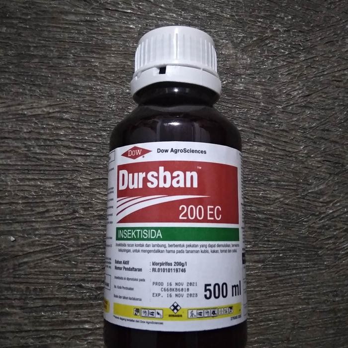 DURSBAN 200EC INSEKTISIDA 500 ML
