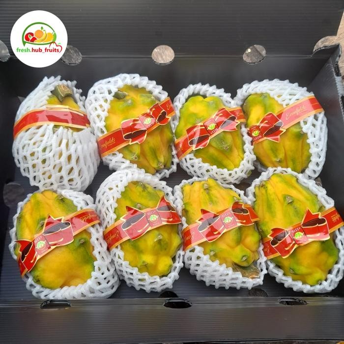

ORIGINAL Buah Naga Kuning Manis Import Equador 1dus READY STOCK