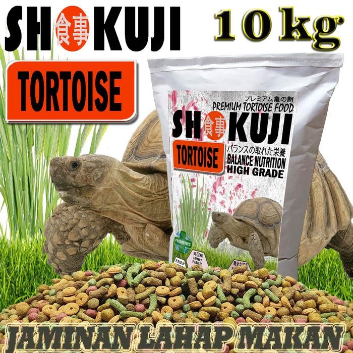 10KG SHOKUJI MAKANAN SULCATA PARDALIS KURAKURA DARAT YNIPHORA RUSIAN RADIATA CHERY HEAD ALDABRA