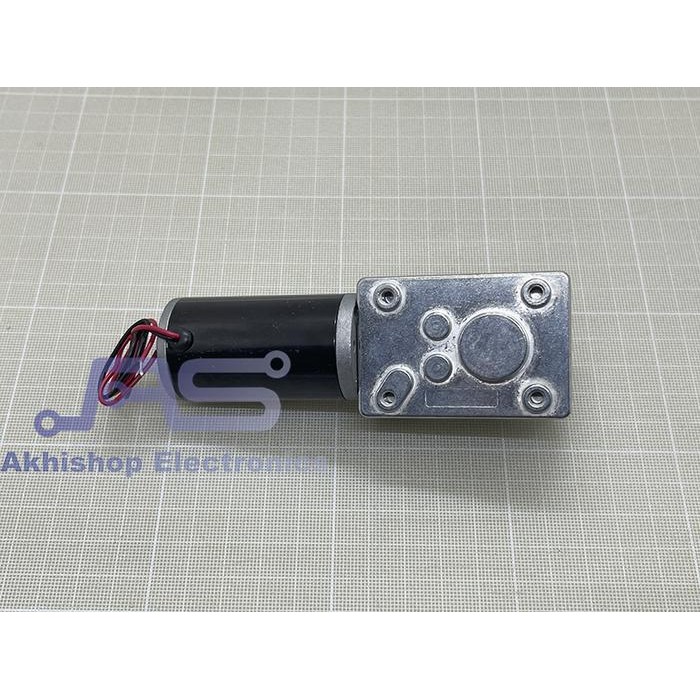 Permanent Magnet Worm Gear Motor Dc 4058Gw31Zy 12V 5Rpm