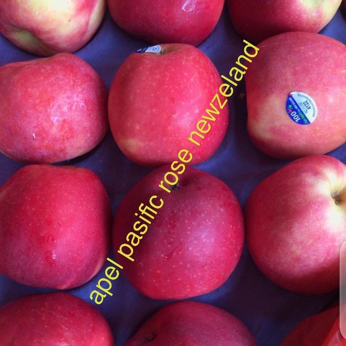 

TERLARIS APEL PASIFIC ROSE NEWZELAND FRESH PER 1KG READY STOCK