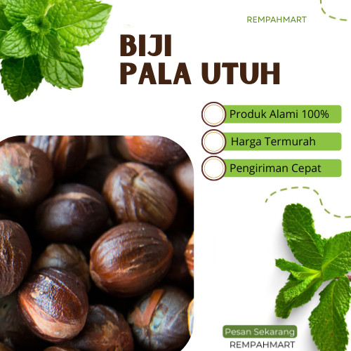 

1kg Biji Pala Utuh Premium Kulit / Biji Buah Pala Nutmeg Alami Kering 1 Kilogram Rempahmart