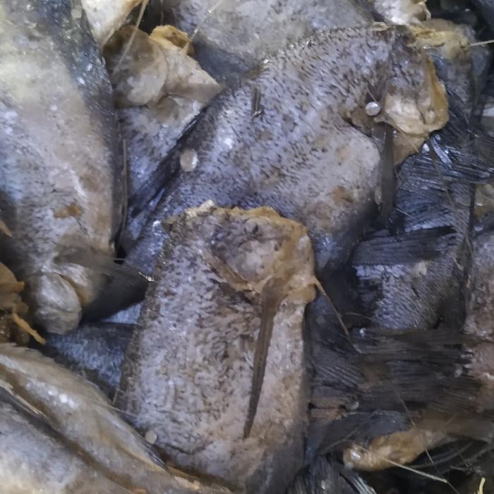 

Ikan Asin Sepat Bersih 500Gr 100% Halal Best Seller