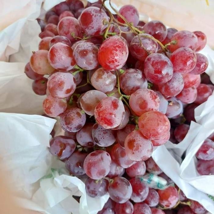 

ORIGINAL buah anggur red globe 1 krat GROSIR READY STOCK