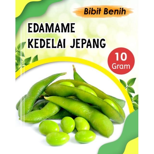 BENIH KACANG KEDELAI EDAMAME 10 GRAM -BIBIT KACANG KEDELAI JEPANG