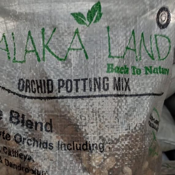 media tanam anggrek siap pakai