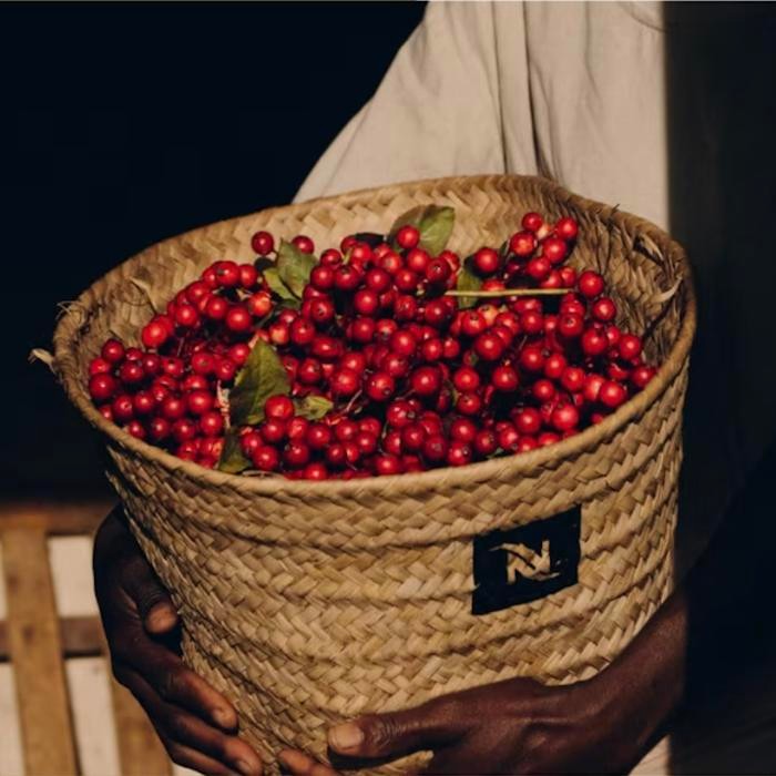 

NESPRESSO ISPIRAZIONE NAPOLI COFFEE CAPSULE / KAPSUL KOPI - 10 CAPS