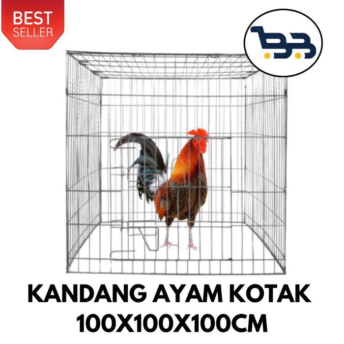 Kandang Ayam Bangkok Kotak Umbaran 100x100x100cm