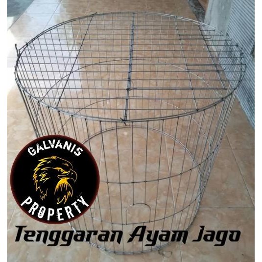 KURUNGAN TENGGARAN AYAM JAGO / BANGKOK BUNDAR / KURUNGAN AYAM GALVANIS BULAT DIAMETER 80 CM