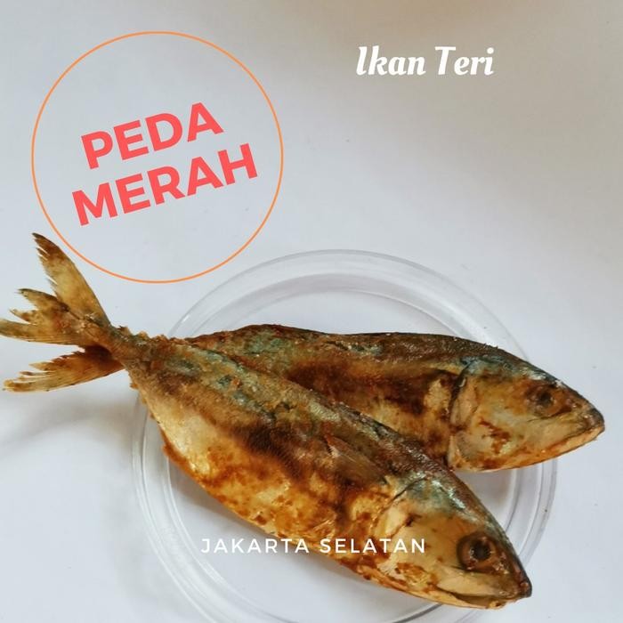 

Baru Ikan Asin Peda Merah SUPER Terlaris