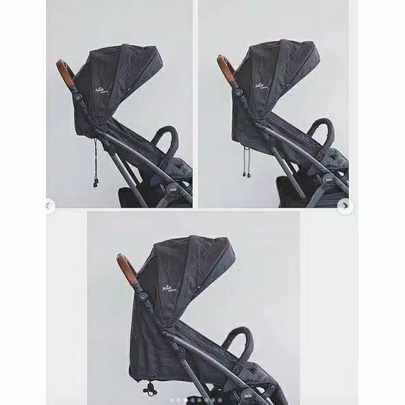 Joie tourist flex signature