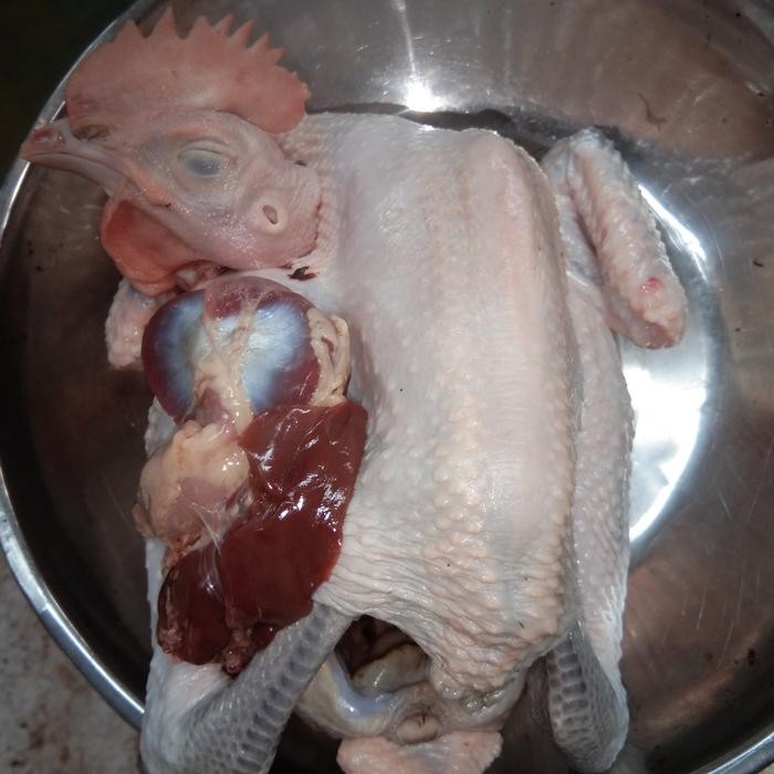 

Baru Ayam Kampung 1kg Siap Masak