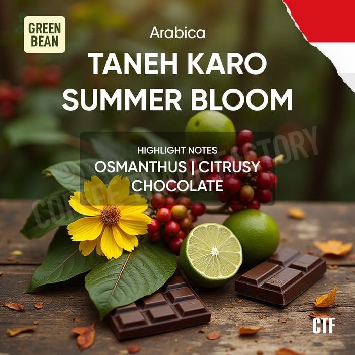 

Green Beans Arabika Taneh Karo Wet Hulled Summer Bloom / Coffee Trade Factory CTF / Green Bean