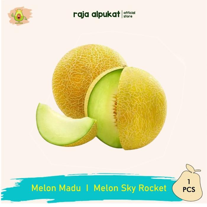 

NATURE- Melon Madu I Melon Sky Rock