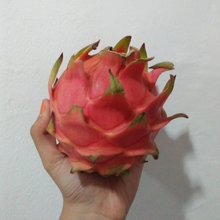 

NATURE- Naga Super. Naga Merah Manis Grade A. Super.. Premium Super.