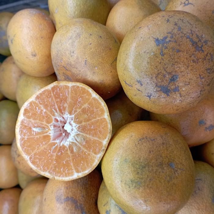 

NATURE- Jeruk Medan Jeruk Medan Super Jeruk Brastagi