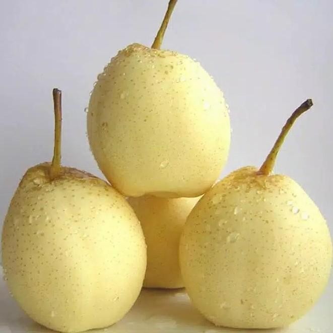 

NATURE- Buah Pir Madu 1 Kg Fresh