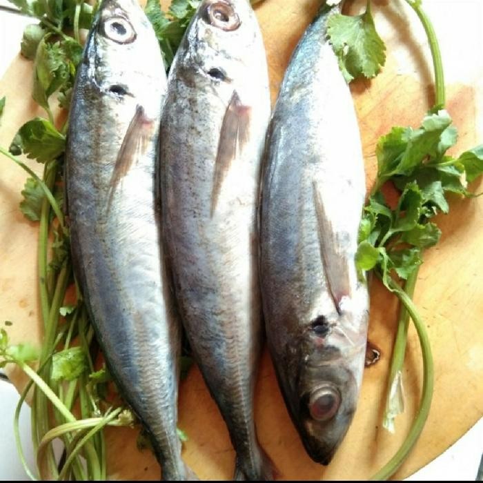 

Siap Kirim Ikan Basah Layang 500 gr - Segar & Siap Olah