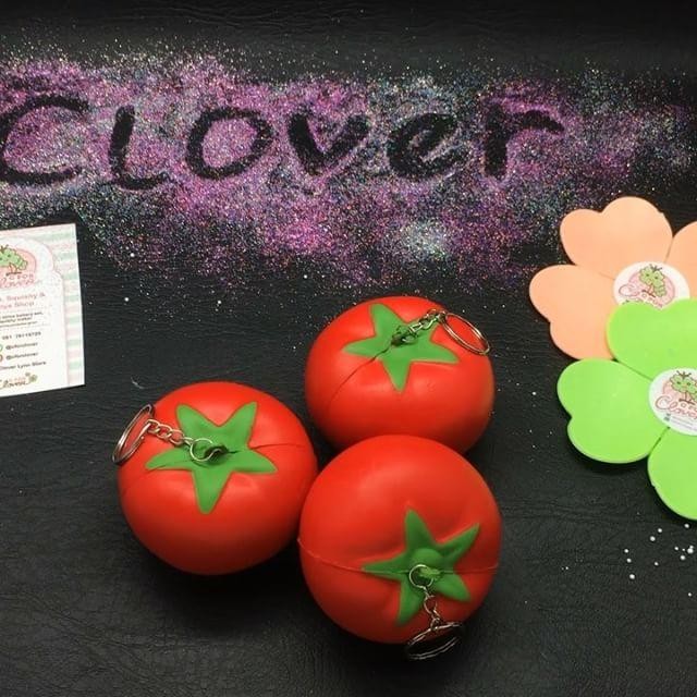 TOMAT SQUISHY / ibloom replika replica squeeze puni maru slow soft