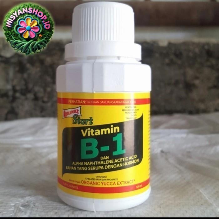 

Promo vitamin tanaman hias B1 Pasti Hemat Daun Hijau
