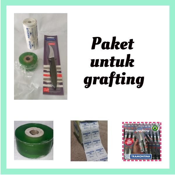 Paket Grafting sambung tanaman (Pisau, Grafting Tape, Parafilm)