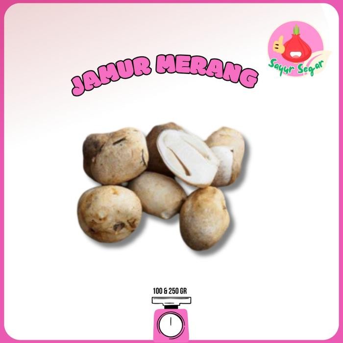 

LUXEHEALTH- Jamur Merang/Jamur Merang Segar