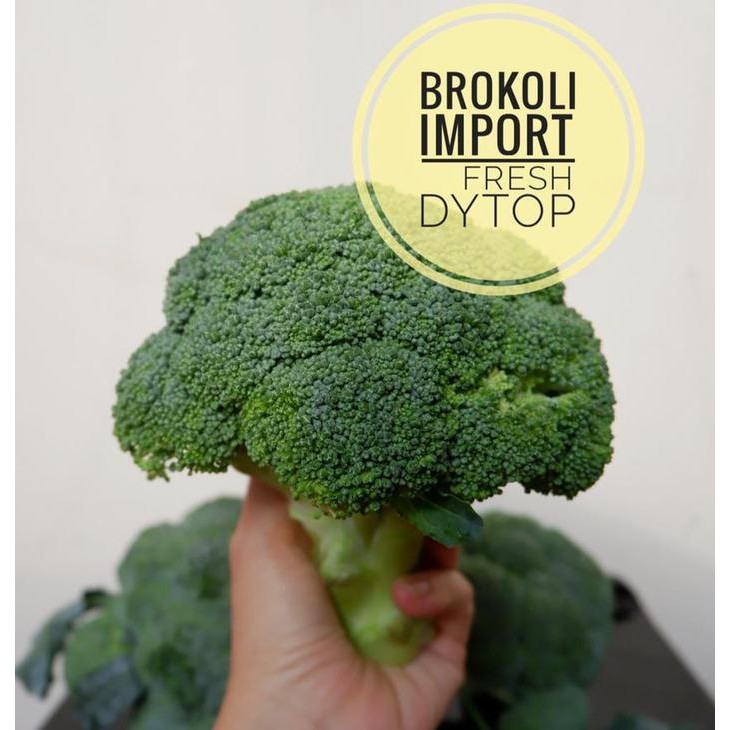 

LUXEHEALTH- Brokoli Import Fresh Segar - Per 500 Gram