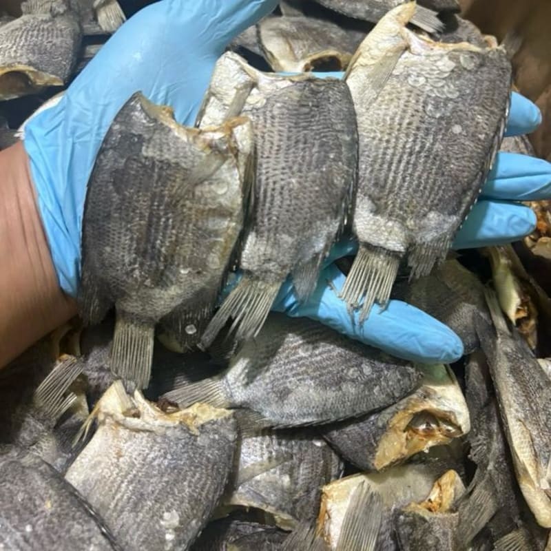 

Ikan Asin Biawan/Tembakang Jumbo