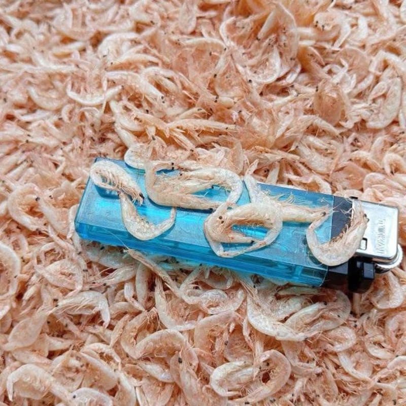 

Rebon Asin Size Kasar 1000gr