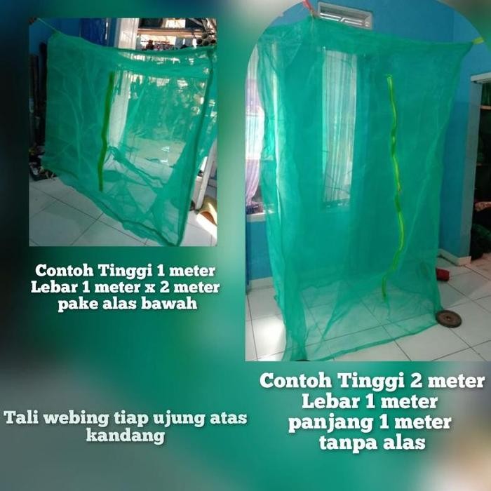 kandang magot bsf 2 x 1 x 2